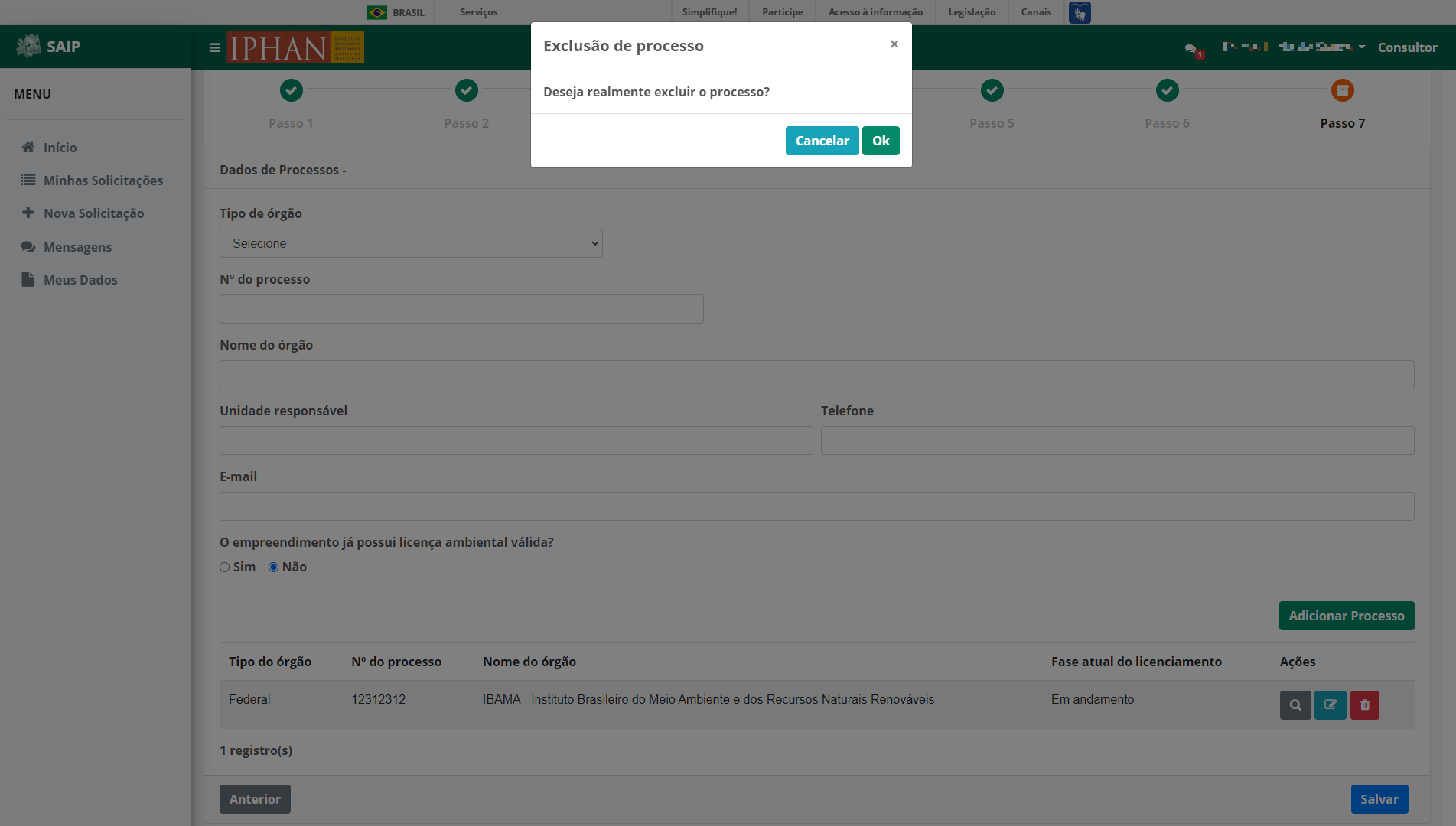 SAIP Nova Solicitacao Passo 7 Processos Excluir Processo